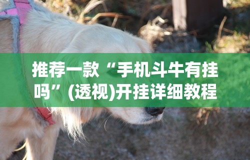 独家脚本实测“微乐贵阳捉鸡麻将有挂没	”详细分享装挂步骤