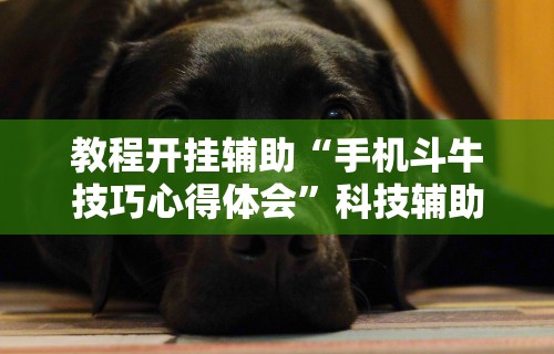 软件分享“微乐斗地主亲友房为啥总是输	”附透视挂详细教程