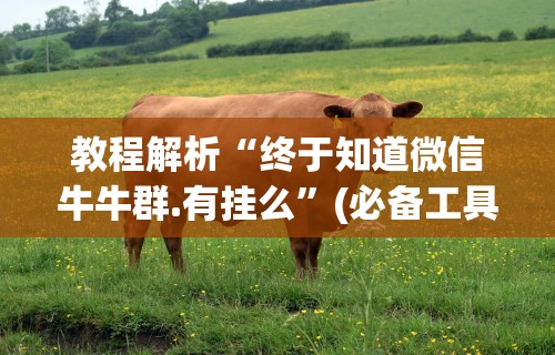 真实辅助“雀神广东麻将开挂通用版”详细开挂安装教程