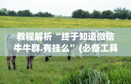 独家实测“十三水玩牌技巧	”确实有挂