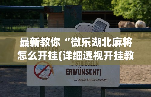 辅助挂机软件“爱米大厅怎么开挂作弊”(原来确实是有挂)