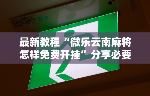 辅助开挂工具“广东皮皮麻将有挂吗”(透视挂)详细用法教程