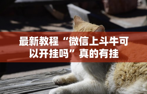 秒懂经验“河北约牌吧可以开挂吗”分享必要外挂教程