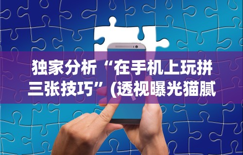 辅助开挂工具“微乐麻将免费挂手机软件”详细开挂玩法