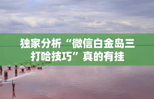 秒懂经验“河北约牌吧可以开挂吗”分享必要外挂教程