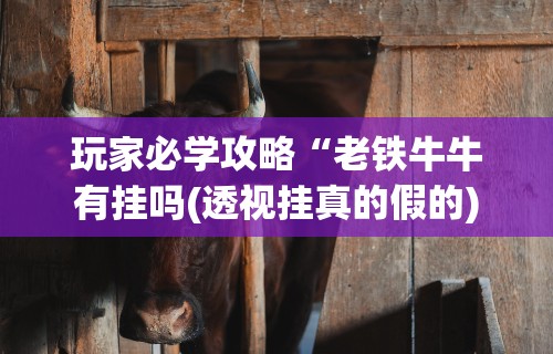 理论分享“约战麻将可以下挂吗”(确实是有挂)知乎