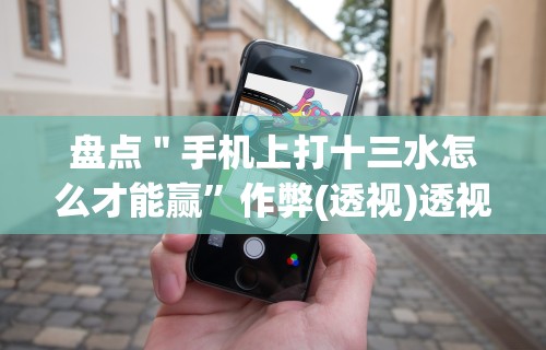 盘点＂手机上打十三水怎么才能赢”作弊(透视)透视辅助