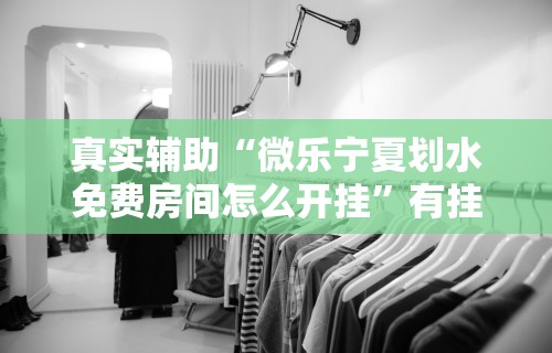 真实辅助“微乐宁夏划水免费房间怎么开挂	”有挂详细开挂教程