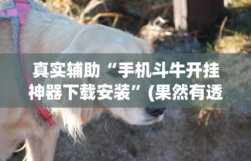 软件分享“微乐麻将怎么样才能有好手气”附开挂脚本详细步骤
