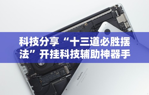 科技分享“十三道必胜摆法	”开挂科技辅助神器手机
