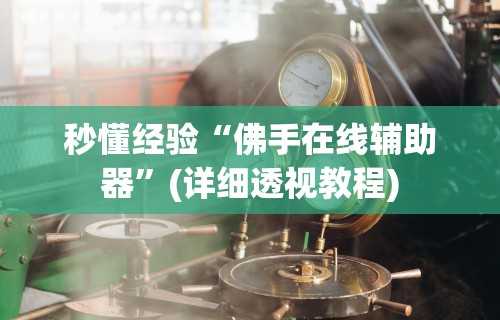 秒懂经验“佛手在线辅助器	”(详细透视教程)