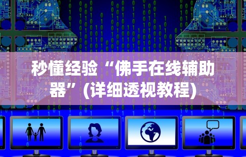 秒懂经验“佛手在线辅助器”(详细透视教程)