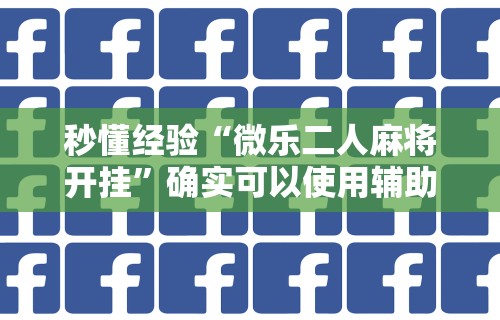 秒懂经验“微乐二人麻将开挂	”确实可以使用辅助