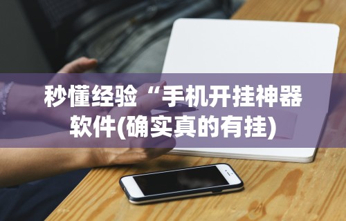 秒懂经验“蛮王大厅可以开挂吗”其实有开挂插件!