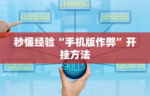 秒懂经验“手机版作弊”开挂方法