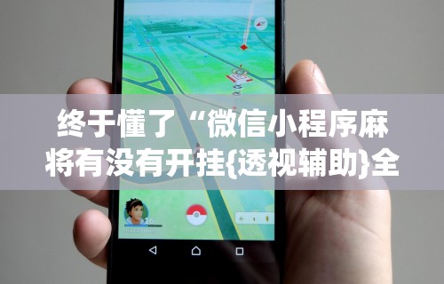 终于懂了“微信小程序麻将有没有开挂{透视辅助}全揭秘