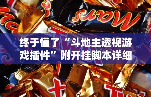 终于懂了“斗地主透视游戏插件”附开挂脚本详细步骤