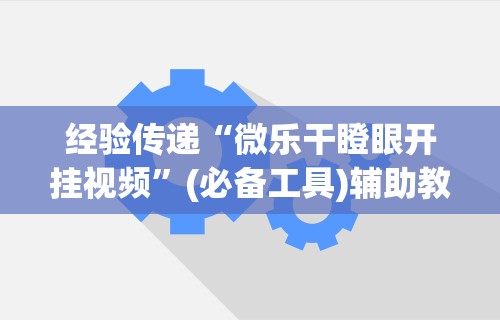 经验传递“微乐干瞪眼开挂视频	”(必备工具)辅助教学