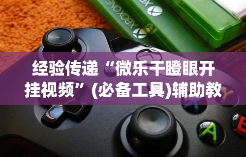 经验传递“微乐干瞪眼开挂视频”(必备工具)辅助教学