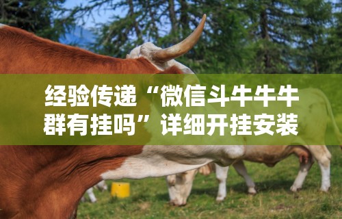 经验传递“微信斗牛牛牛群有挂吗	”详细开挂安装教程