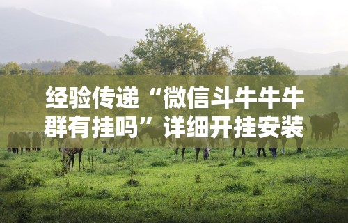 经验传递“微信斗牛牛牛群有挂吗”详细开挂安装教程