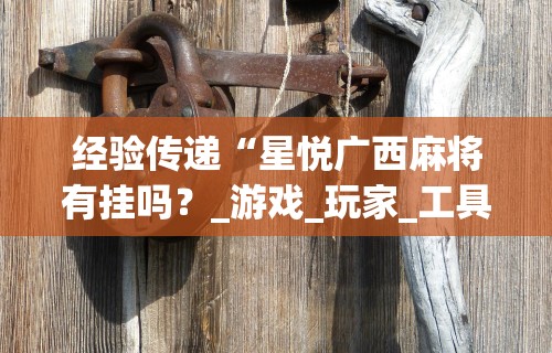经验传递“星悦广西麻将有挂吗？_游戏_玩家_工具