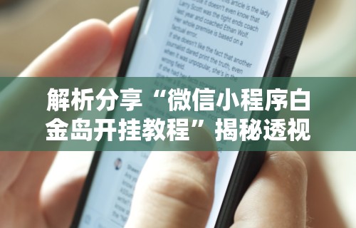 解析分享“微信小程序白金岛开挂教程	”揭秘透视辅助万能挂