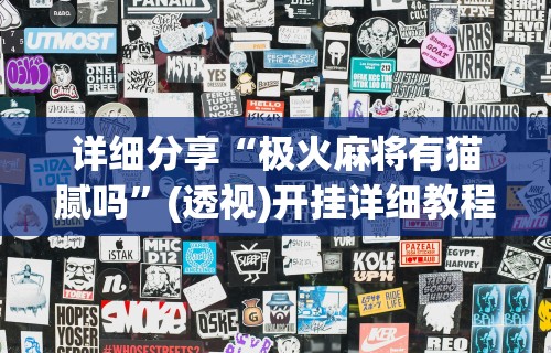 详细分享“极火麻将有猫腻吗”(透视)开挂详细教程