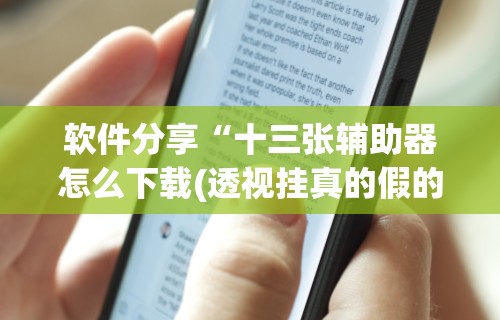 软件分享“十三张辅助器怎么下载(透视挂真的假的)
