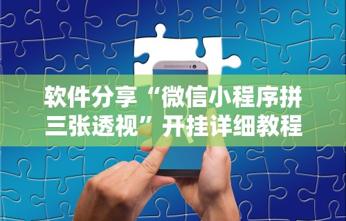 软件分享“微信小程序拼三张透视	”开挂详细教程