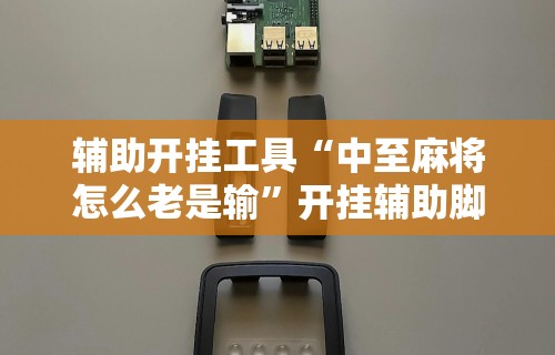 辅助开挂工具“中至麻将怎么老是输	”开挂辅助脚本+详细开挂安装教程
