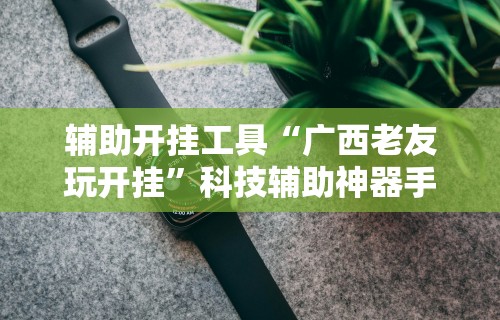 辅助开挂工具“广西老友玩开挂”科技辅助神器手机版教程