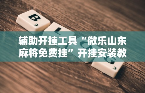 辅助开挂工具“微乐山东麻将免费挂”开挂安装教程