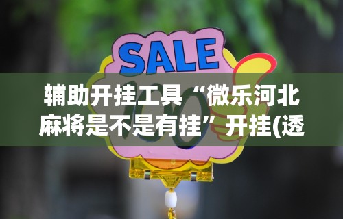辅助开挂工具“微乐河北麻将是不是有挂	”开挂(透视)辅助教程