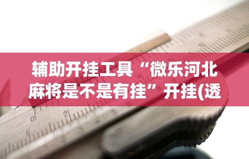 辅助开挂工具“微乐河北麻将是不是有挂”开挂(透视)辅助教程