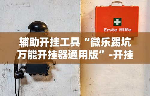辅助开挂工具“微乐踢坑万能开挂器通用版”-开挂神器-包教包会