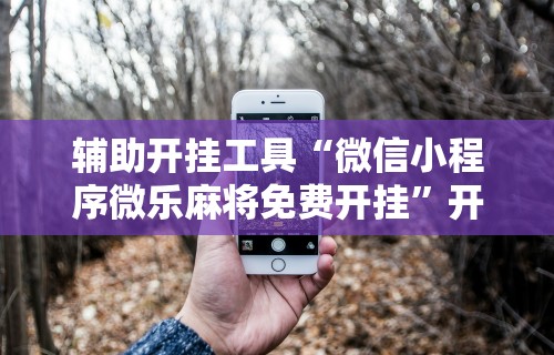 辅助开挂工具“微信小程序微乐麻将免费开挂	”开挂辅助详细步骤