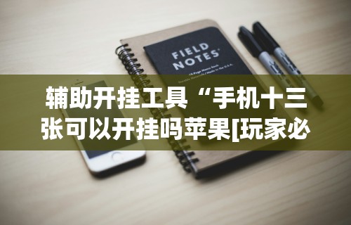 辅助开挂工具“手机十三张可以开挂吗苹果[玩家必赢神器]