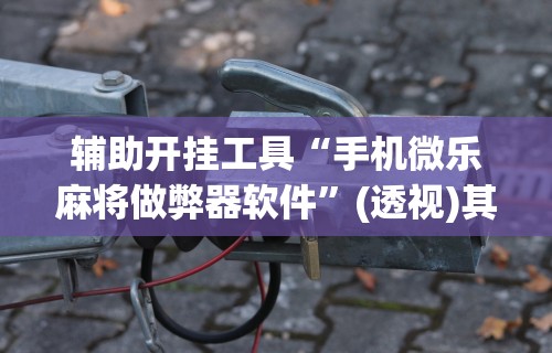 辅助开挂工具“手机微乐麻将做弊器软件”(透视)其实确实有挂