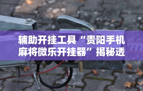 辅助开挂工具“贵阳手机麻将微乐开挂器”揭秘透视辅助万能挂用法