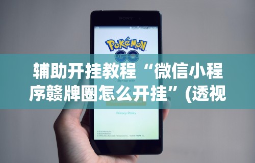 辅助开挂教程“微信小程序赣牌圈怎么开挂”(透视挂)详细用法教程