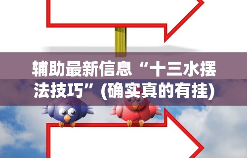 辅助最新信息“十三水摆法技巧”(确实真的有挂)