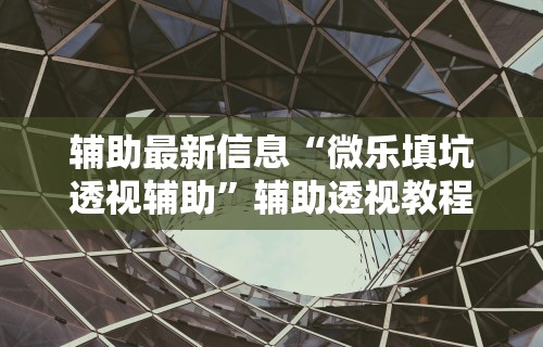 辅助最新信息“微乐填坑透视辅助”辅助透视教程