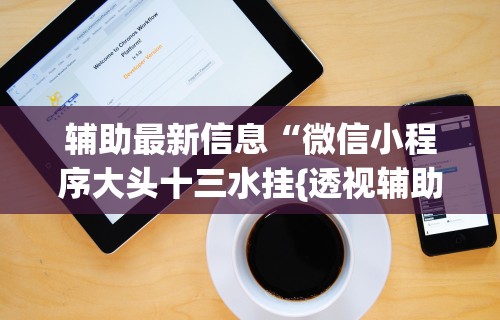辅助最新信息“微信小程序大头十三水挂{透视辅助}全揭秘