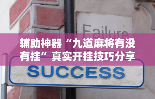 辅助神器“九道麻将有没有挂”真实开挂技巧分享