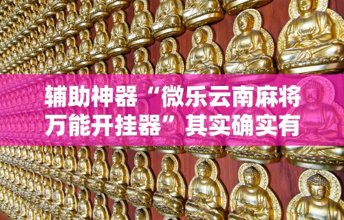 辅助神器“微乐云南麻将万能开挂器	”其实确实有挂