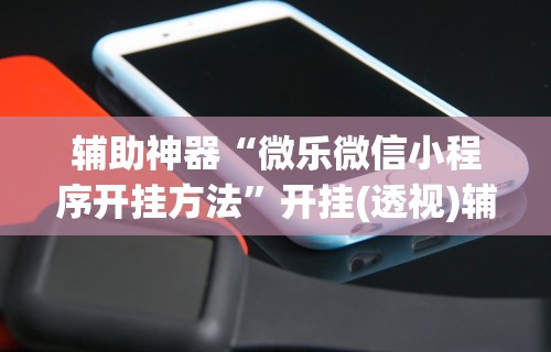 辅助神器“微乐微信小程序开挂方法”开挂(透视)辅助神器
