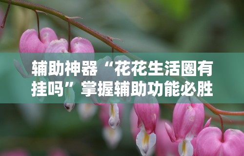 辅助神器“花花生活圈有挂吗”掌握辅助功能必胜规则