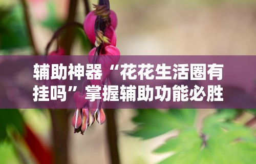 辅助神器“花花生活圈有挂吗	”掌握辅助功能必胜规则