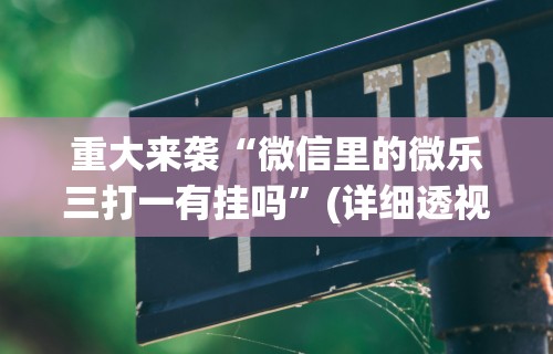 重大来袭“微信里的微乐三打一有挂吗	”(详细透视教程)-